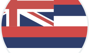 Hawaii Logo
