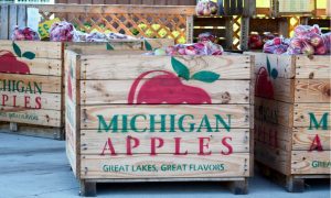 wooden boxes of Michigan apples