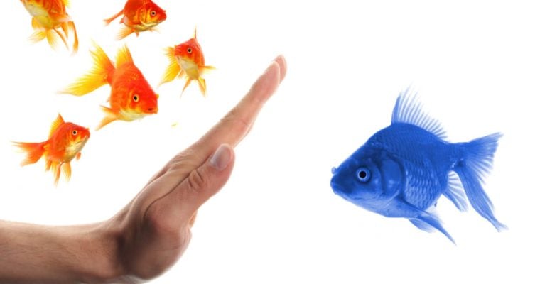 hand stopping blue fish from joining goldfish