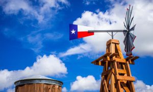 Texas To FanDuel: 'State Does Not Agree That You May Engage In Fantasy Sports Gambling'