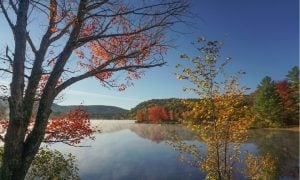 New Hampshire Lottery Goes Live Online With E-Games And Draw Tickets
