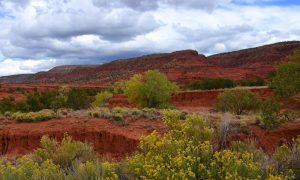New Mexico is now the sixth state with legal regulated sports betting.