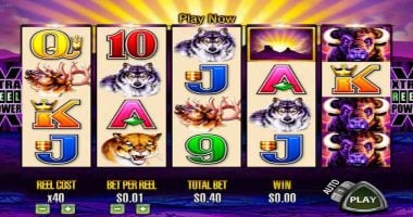 Aristocrat Buffalo Slots Machine