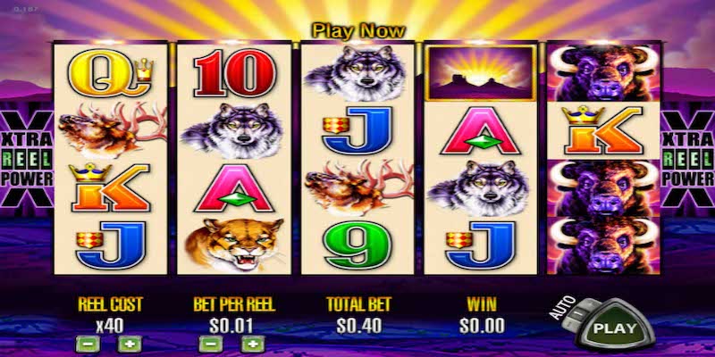 Buffalo slot game rules