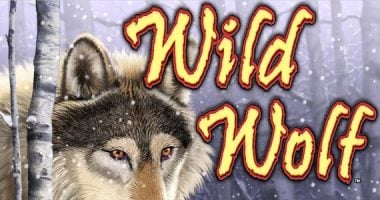 Wild Wolf Slot Machine Review
