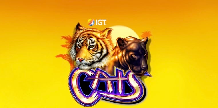 Cats slot machine online banner