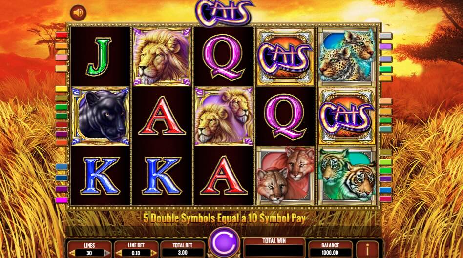 Cats slot machine online basic reel setup