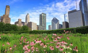 Sports Betting Bill Approved By Illinois Legislature -- Here's What To Know