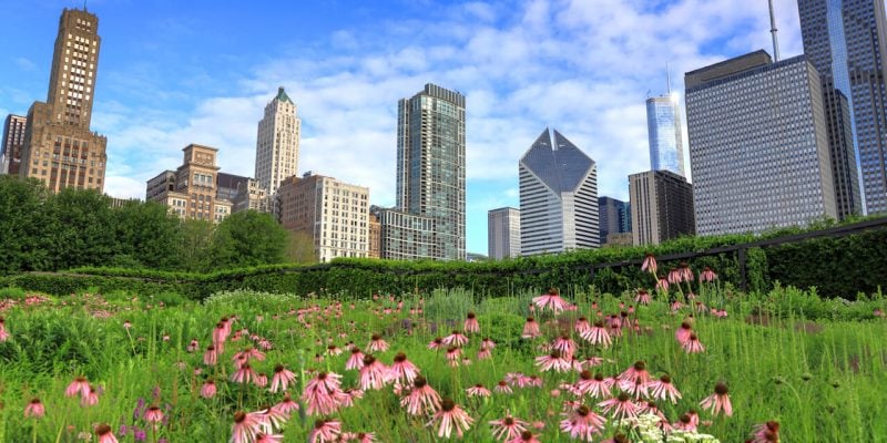 Sports Betting Bill Approved By Illinois Legislature -- Here's What To Know