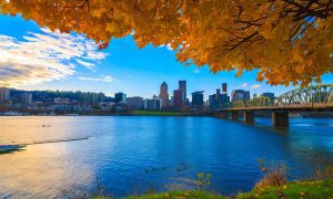 Oregon sports betting in fall