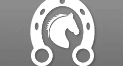 horse-racing icon
