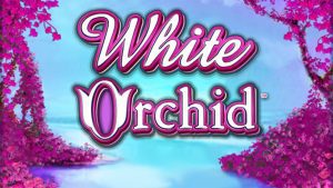 White Orchid Slot Machine from IGT