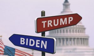 2020 US presidential election prediction