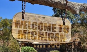 Welcome to Michigan sign