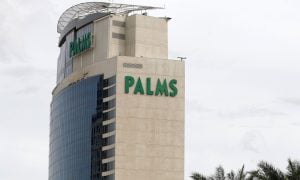 Palms