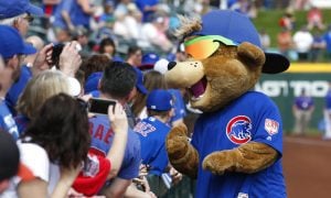 Chicago Cubs mascot Clark entertains fans
