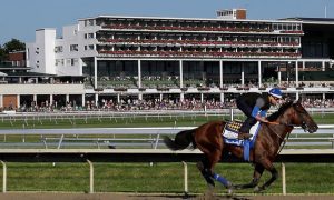 Horse racing