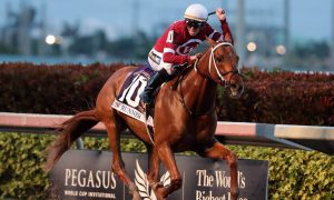 Seminole Horse Racing