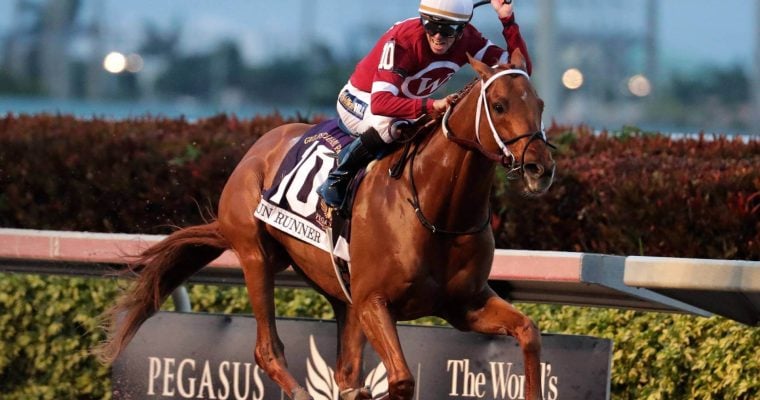 Seminole Horse Racing