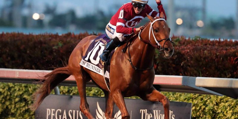 Seminole Horse Racing