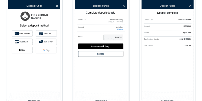 Payment Processor PayNearMe