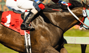 Twin Spires Makes Murr President Including Horse Racing and Betting.