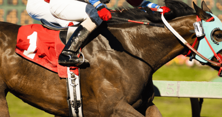 Twin Spires Makes Murr President Including Horse Racing and Betting.