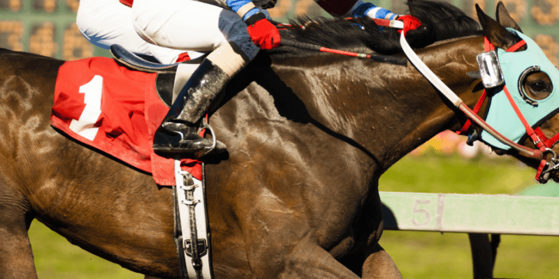 Twin Spires Makes Murr President Including Horse Racing and Betting.