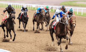 The Flying Lark May Crash Because Of Oregon Bill For Horse Racing