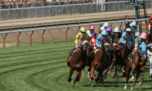 Opposition In Legislature Arises For New York Horse Racing Expansion