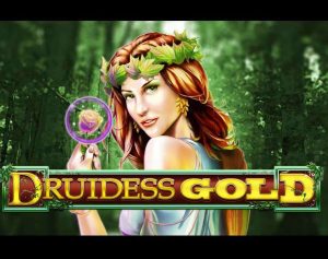 Druidess Gold Slot Machine