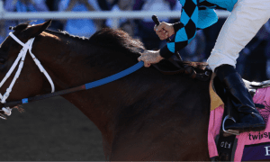Under Scrutiny Is TwinSpires new Hampshire From States Attorney General