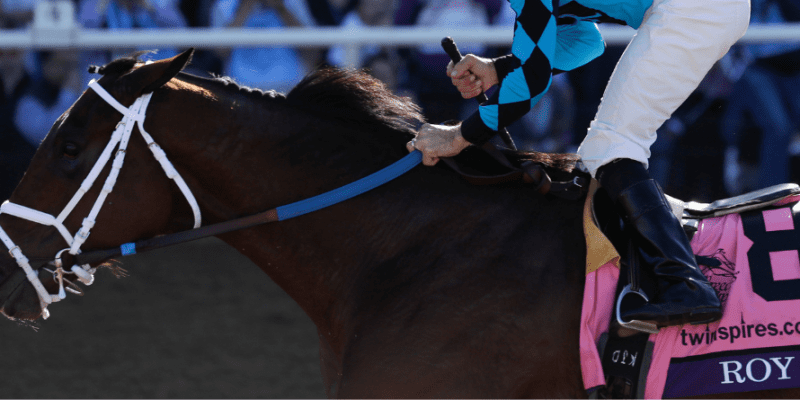 Under Scrutiny Is TwinSpires new Hampshire From States Attorney General