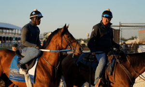 Preakness Stakes Inside Look Of Contenders and Storylines