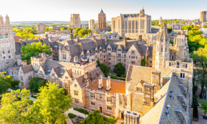 Treatment Research At Yale University For Problem Gambling, Completely Funded