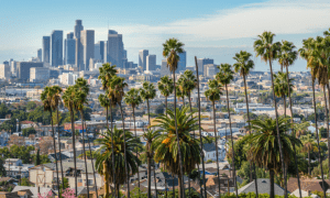 2022 Ballot Qualifies In California For The Homelessness Support Act