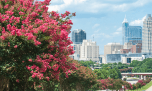 Mobile Wagering To Happen This Fall NC Lawmakers Anticipates