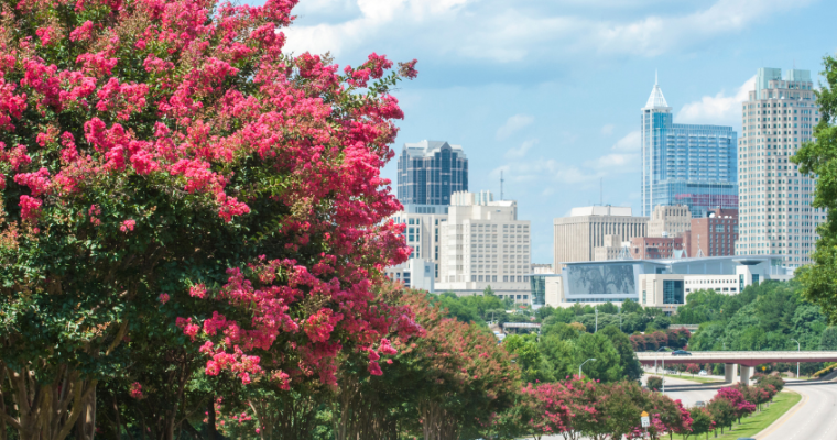 Mobile Wagering To Happen This Fall NC Lawmakers Anticipates