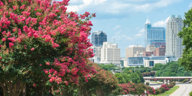 Mobile Wagering To Happen This Fall NC Lawmakers Anticipates