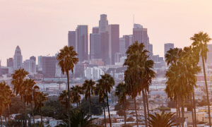 Sports Betting Vote Gets A Commitment Of 100 Million To California From Entain Flutter