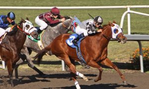 horse tracks california sports betting vote