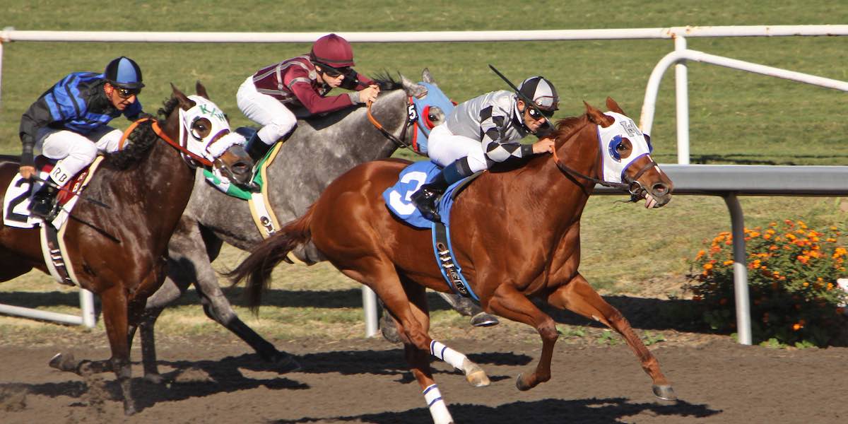 Horse Tracks Take Stance On California Sports Betting Propositions