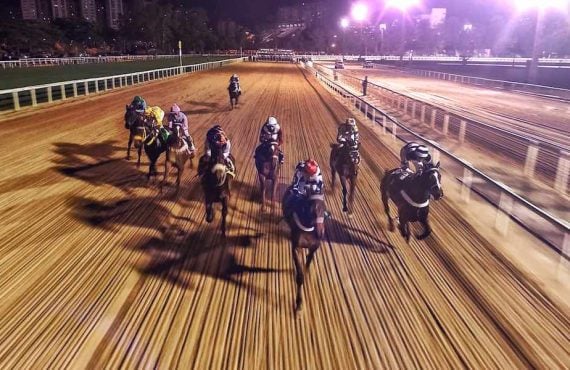 adw parimutuel horse racing pointsbet app