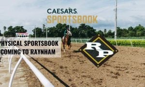 track simulcast raynham park sportsbook windows