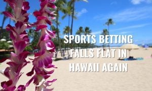 online legalization hawaii sports betting apps