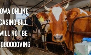 educate legislators iowa online casino 2023