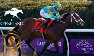 Caesars readying for legal sports betting in KY with new partnerships