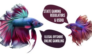 7 States ask DOJ to help them fight offshore online gambling