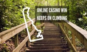 forest trail staircase delaware gambling revenue