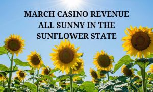 wild sunflowers kansas casinos sportsbooks online
